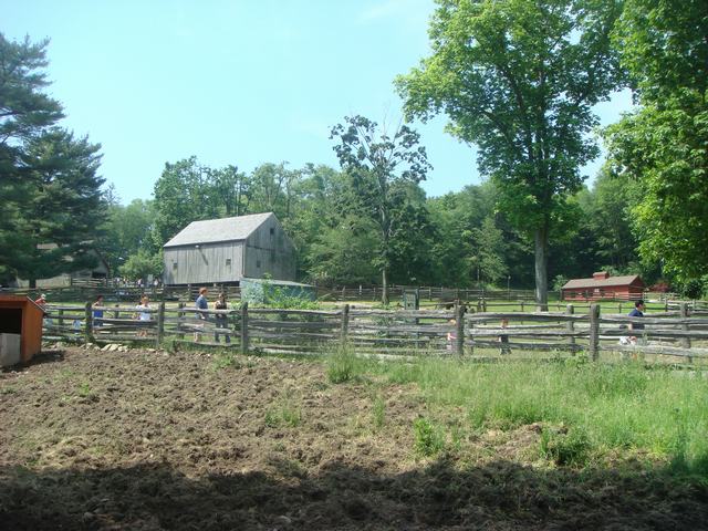 d0100880_9421070.jpg
