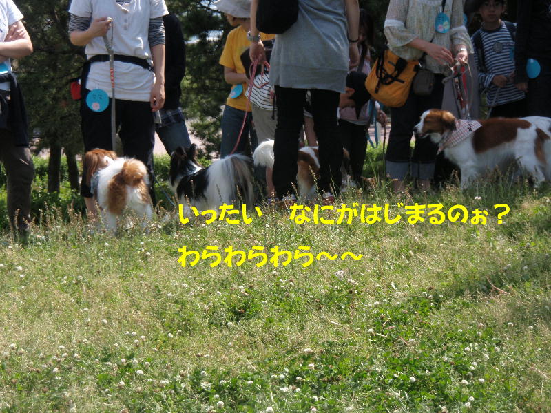 c0075585_0364183.jpg