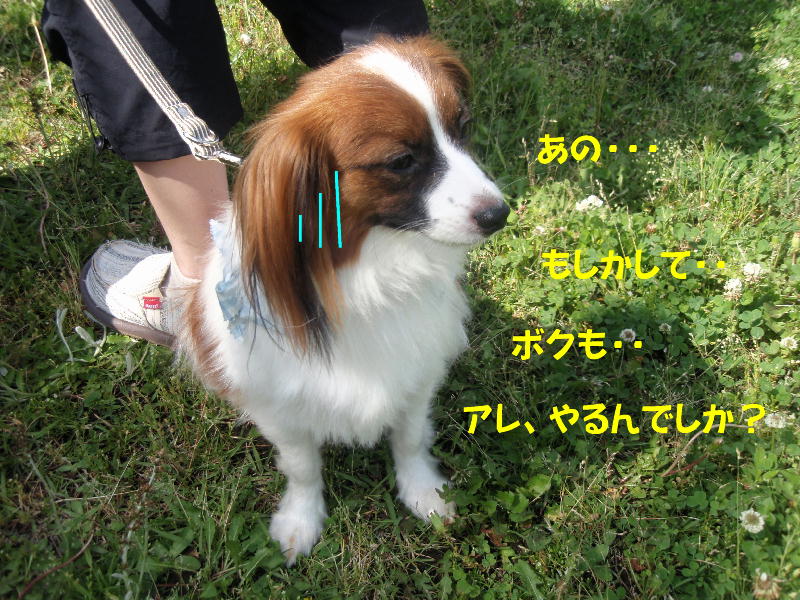 c0075585_13523.jpg