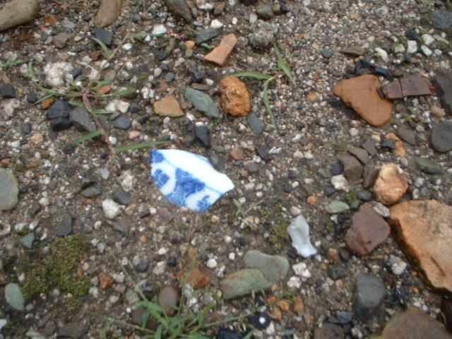 e0060485_16241.jpg