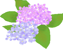 a0074487_135322.gif