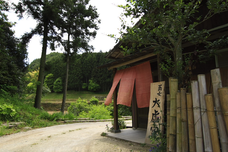 母の日（2008.05.11）　大虚空（だいこくう）_d0147393_6212320.jpg