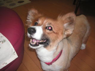 e0011102_22591213.jpg