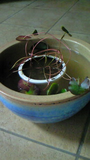 f0144003_2120502.jpg