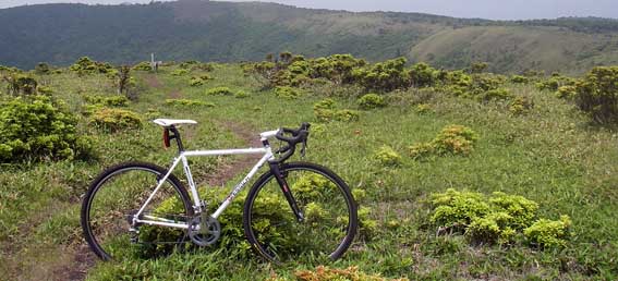 ０８．０６．１０（火）　シクロＢｉｋｅでお山に・・・_a0062810_23433371.jpg