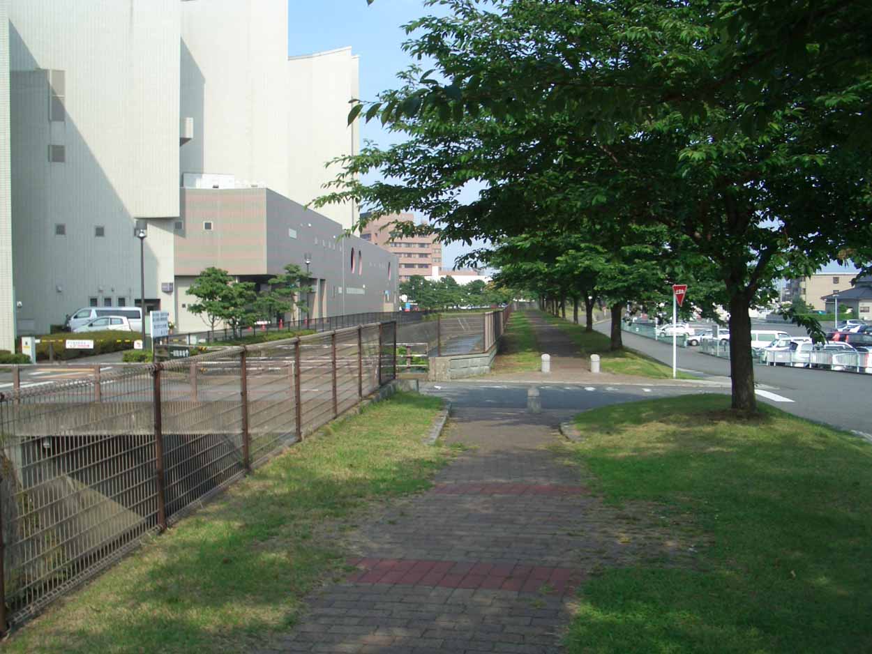 木陰がうれしい季節になりました_f0141310_23275823.jpg