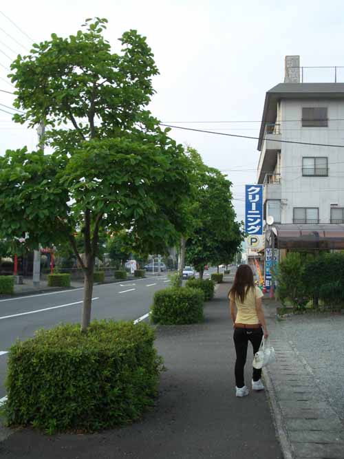 木陰がうれしい季節になりました_f0141310_23295147.jpg