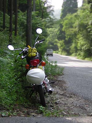 梅雨の雨間_e0045113_23212079.jpg