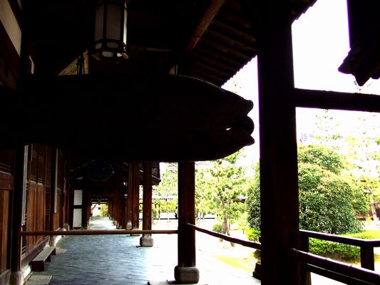 「京都宇治…萬福寺の風景②」_d0133024_20523952.jpg