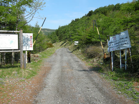 車坂峠〜湯ノ丸高峰林道〜地蔵峠　その2（湯ノ丸高峰林道編）_e0123825_1101748.jpg