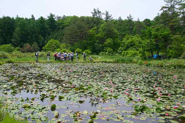 八幡湿原_c0115938_21323811.jpg