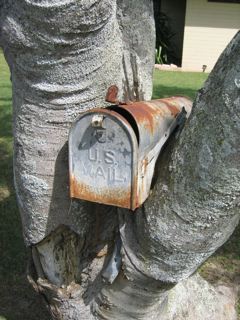 e0144545_2134182.jpg