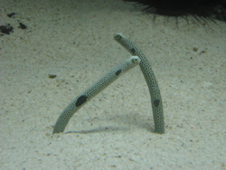 c0111849_235762.jpg