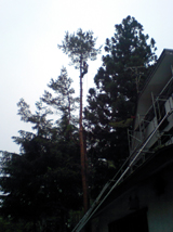 e0010551_23305513.jpg