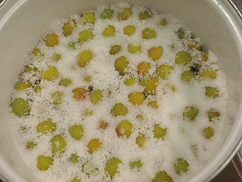 ☆織姫は小梅の名前☆_c0092953_21461152.jpg