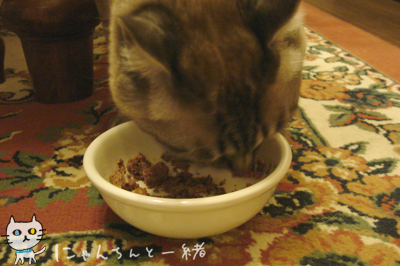我が儘週間やっと終了か?_e0031853_172465.jpg