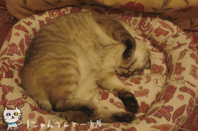 我が儘週間やっと終了か?_e0031853_17274897.jpg
