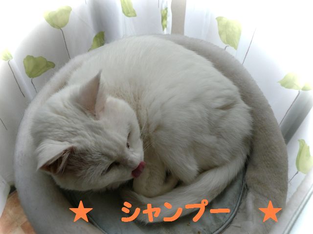 c0134862_1812146.jpg
