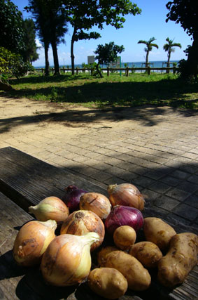 simon beach._c0153966_20532097.jpg