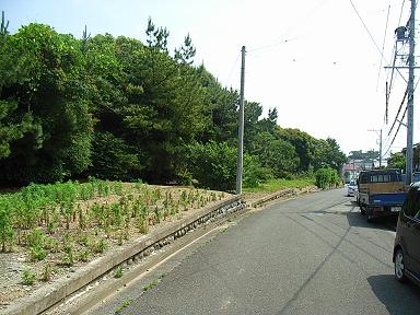 b0095981_1612868.jpg