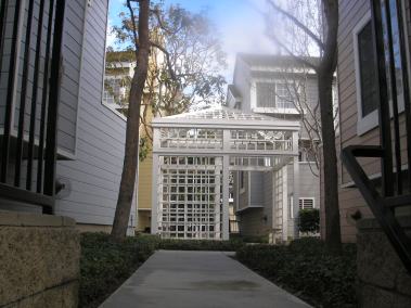e0064298_844424.jpg
