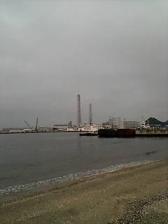 海辺_d0092901_16521892.jpg