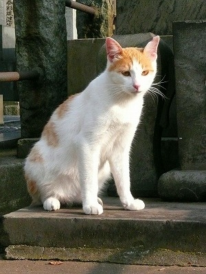 a0024005_34204.jpg