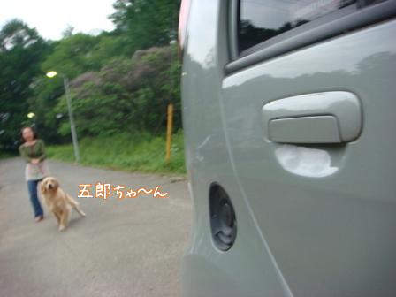 犬とバラの日々_f0064906_23312397.jpg