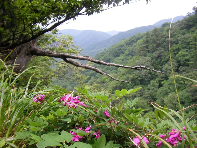 f0054610_10581540.jpg