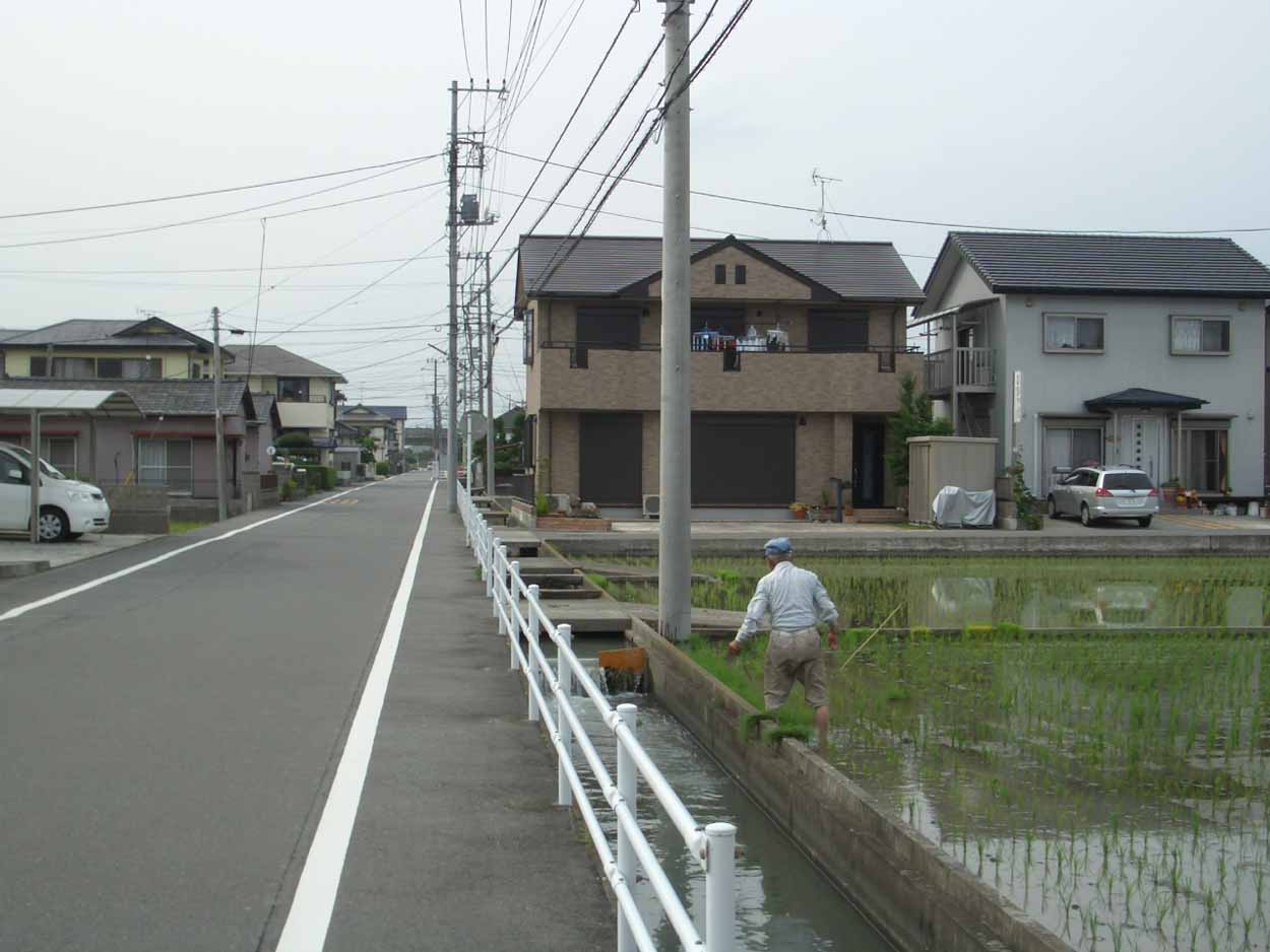 一万歩 富士南『ききょうの里』コース_f0141310_2336285.jpg