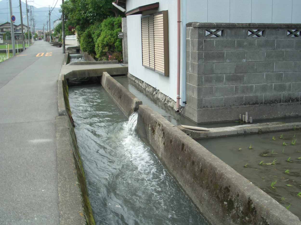 一万歩 富士南『ききょうの里』コース_f0141310_23394584.jpg