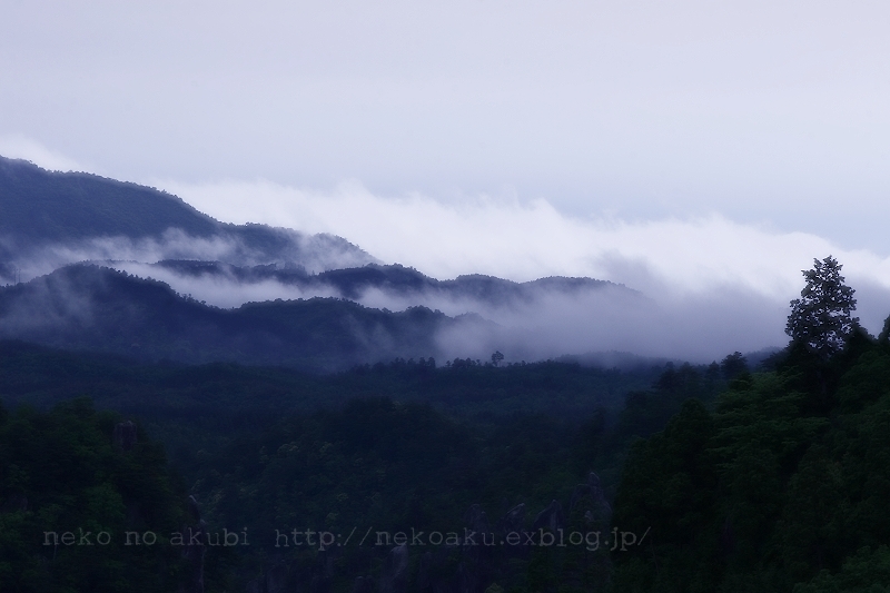 雨の季節の始まり_b0003512_9361530.jpg