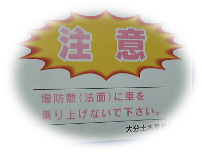 d0070316_20441313.jpg