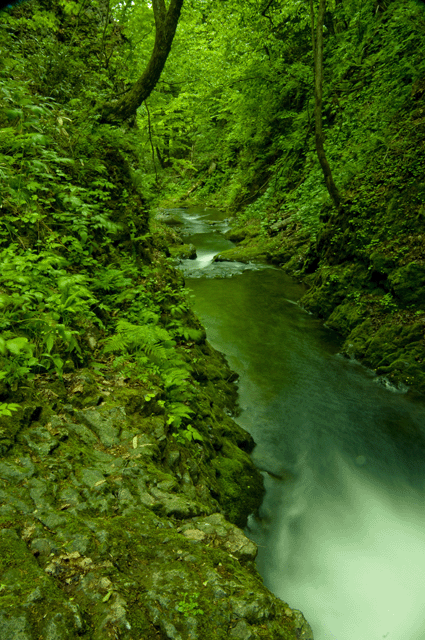 d0019422_93885.gif