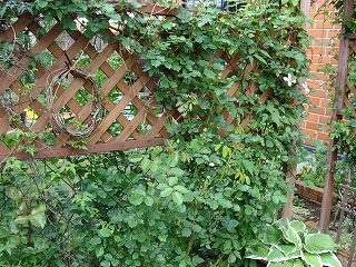 f0170524_2045556.jpg