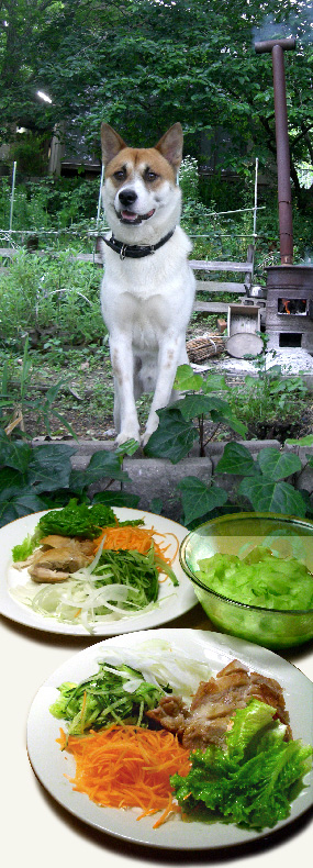 男前登場! 蒸し鶏のパリパリ焼き_d0043225_19375221.jpg