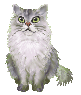 c0123031_22231172.gif