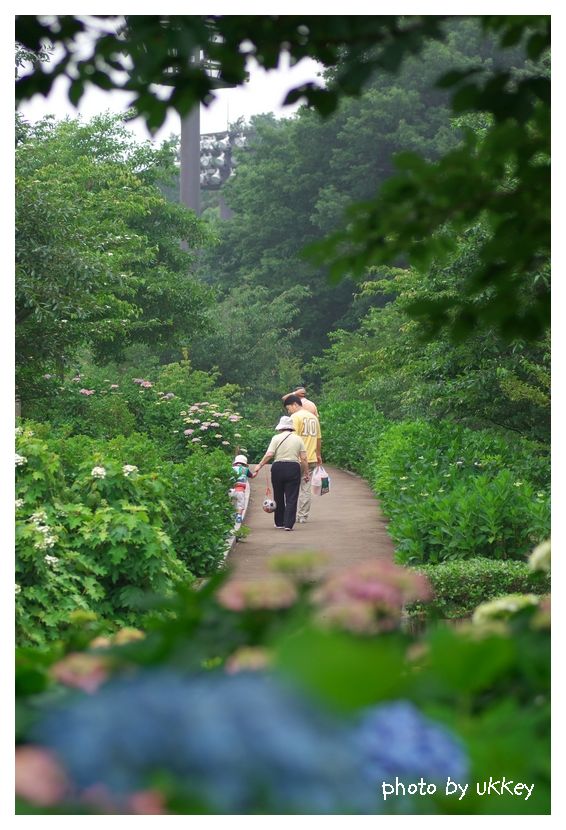 紫陽花　～公園で人物スナップ～_e0063851_2085030.jpg