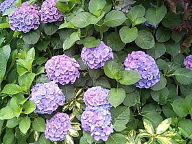 e0125762_22362477.jpg