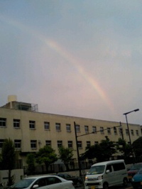 雨を受けて咲く紫陽花の様に。　_e0125762_2247811.jpg