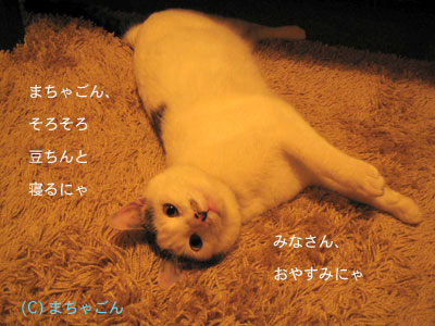 a0064067_214132.jpg