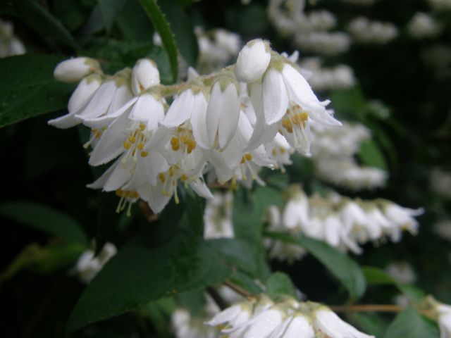 c0042869_1012456.jpg