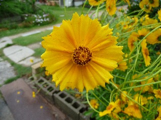 e0046477_10582212.jpg