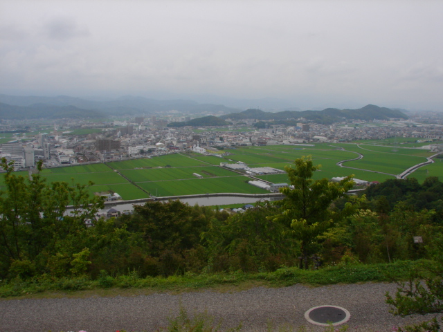 Ｎｏ．0339　牧野植物園_f0104277_748346.jpg