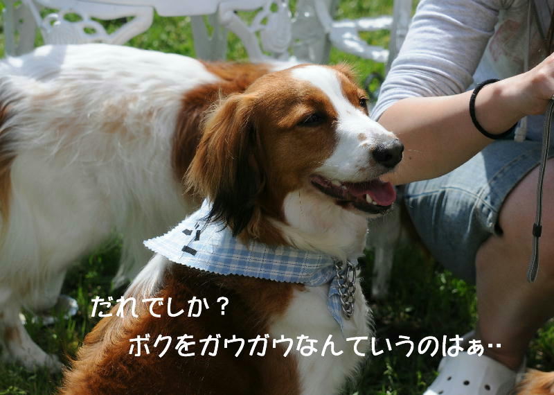 c0075585_13471778.jpg