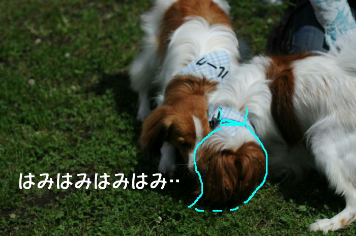 c0075585_13525984.jpg
