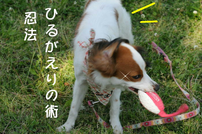 c0075585_1355673.jpg