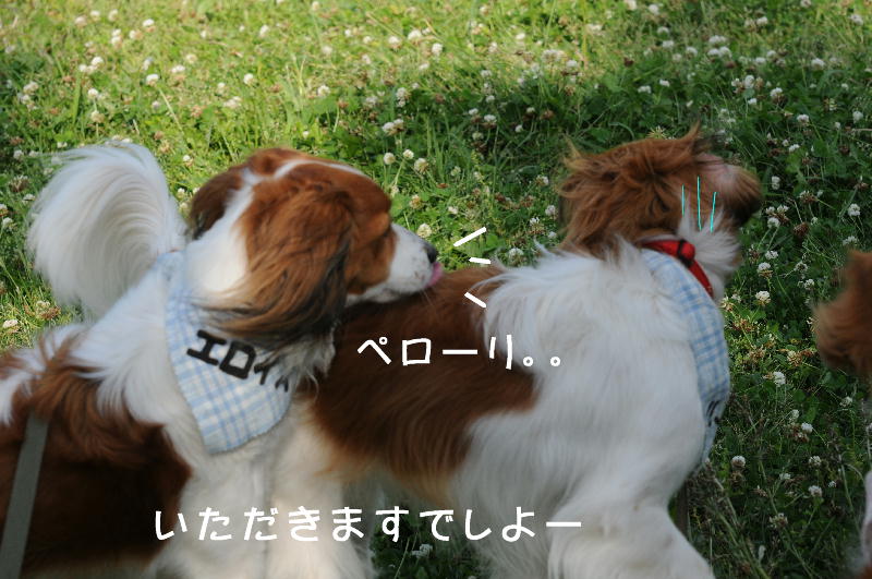 c0075585_1404074.jpg