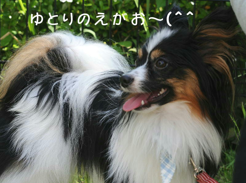 c0075585_1502279.jpg