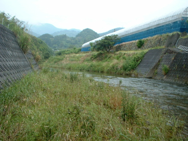 e0060485_2221190.jpg